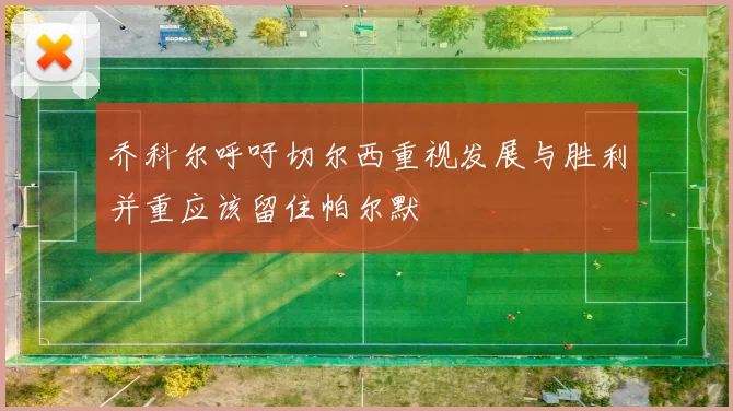 乔科尔呼吁切尔西重视发展与胜利并重应该留住帕尔默